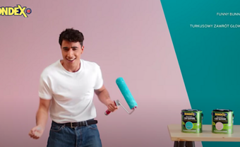 Vanilla Models - BONDEX campaign