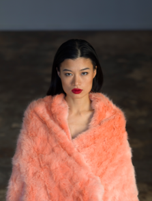 Vanilla Models - Cheng