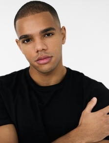 Vanilla Models - Rafael