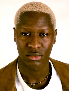 Vanilla models - Emerson