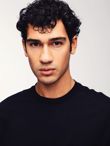 Vanilla Models - Levan