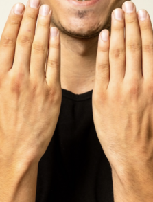 Vanilla Models - HANDS 007