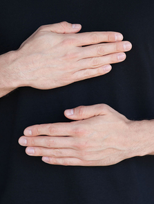 Vanilla models - HANDS 010