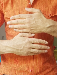 Vanilla Models - Hands23