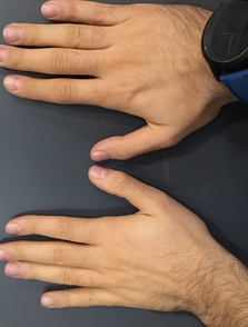 Vanilla models - HANDS 021